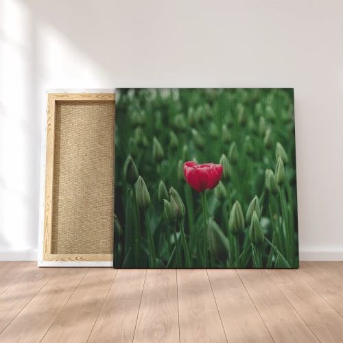 quadro stampato con telaio in legno