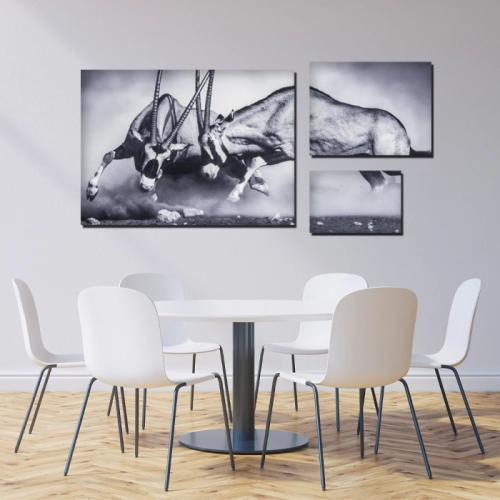 stampa fotografica quadri in forex