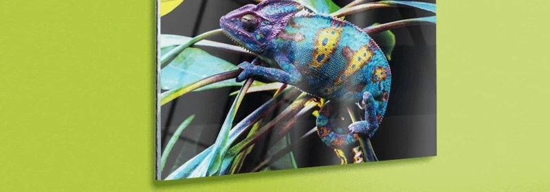 stampe foto su plexiglass